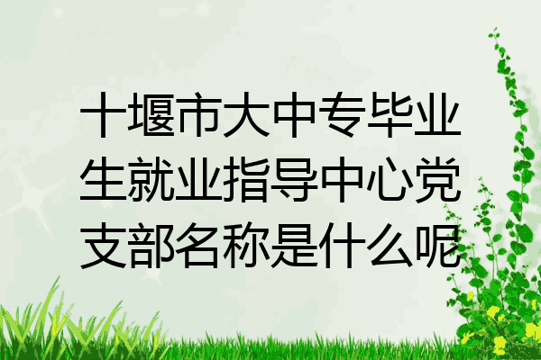 十堰市大中专毕业生就业指导中心党支部名称是什么呢
