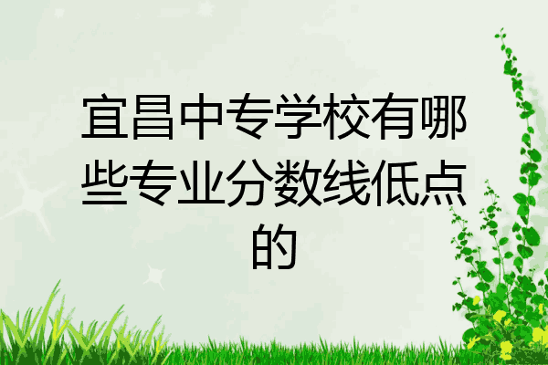 宜昌中专学校有哪些专业分数线低点的