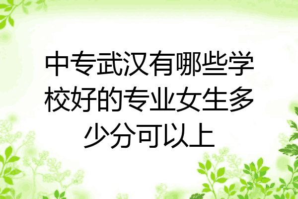 中专武汉有哪些学校好的专业女生多少分可以上