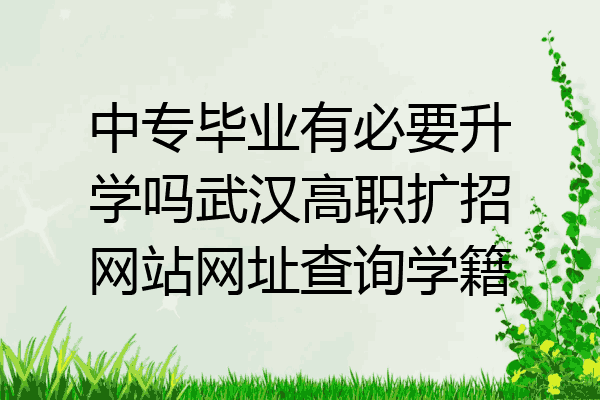 中专毕业有必要升学吗武汉高职扩招网站网址查询学籍