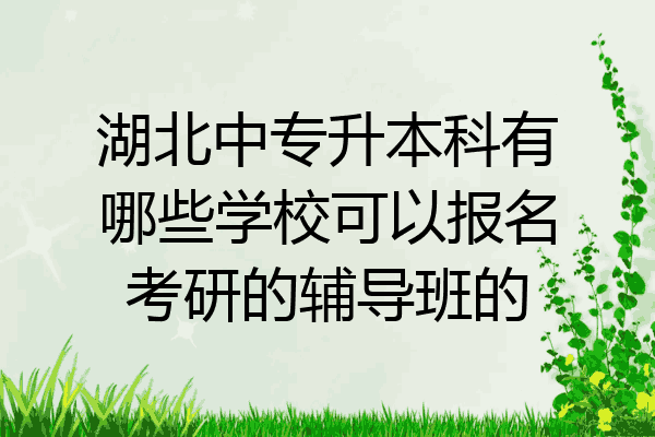 湖北中专升本科有哪些学校可以报名考研的辅导班的