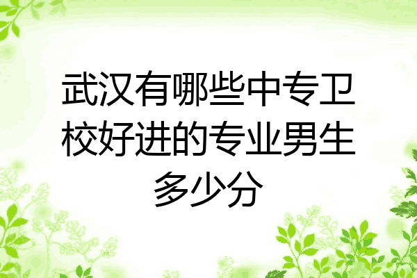 武汉有哪些中专卫校好进的专业男生多少分