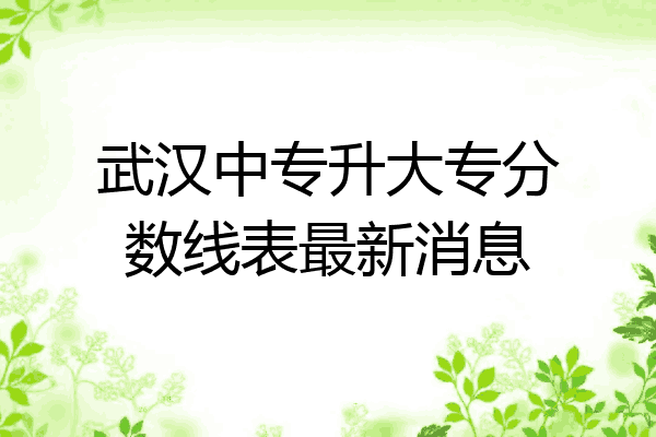 武汉中专升大专分数线表最新消息
