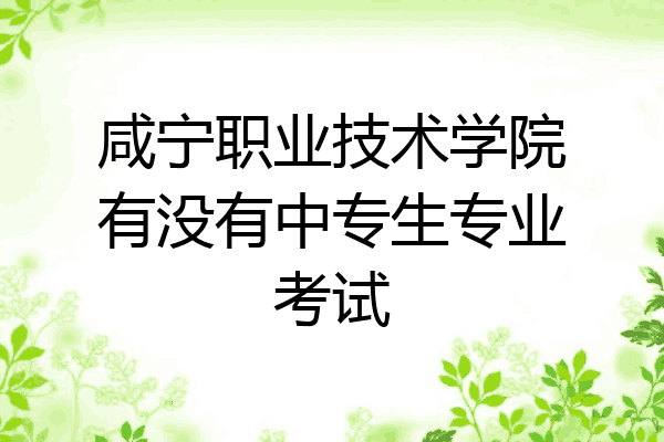 咸宁职业技术学院有没有中专生专业考试