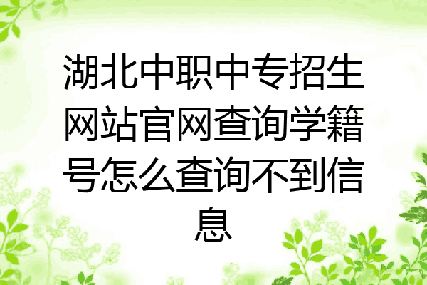 湖北中职中专招生网站官网查询学籍号怎么查询不到信息