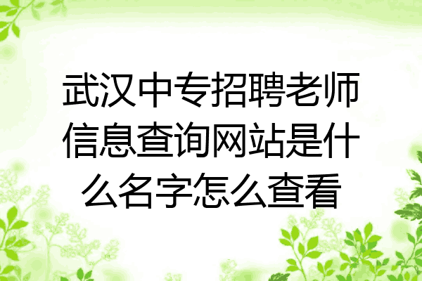 武汉中专招聘老师信息查询网站是什么名字怎么查看