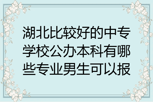 湖北比较好的中专学校公办本科有哪些专业男生可以报