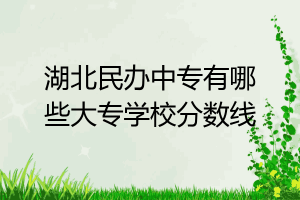 湖北民办中专有哪些大专学校分数线