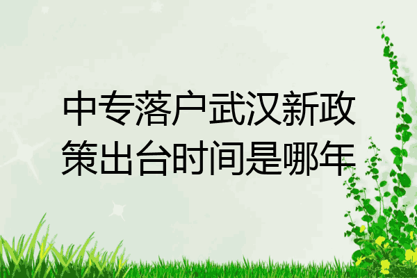 中专落户武汉新政策出台时间是哪年