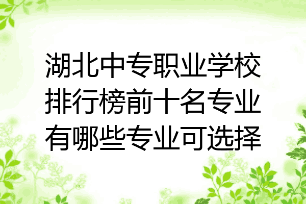 湖北中专职业学校排行榜前十名专业有哪些专业可选择