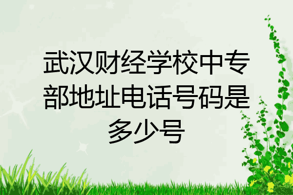 武汉财经学校中专部地址电话号码是多少号
