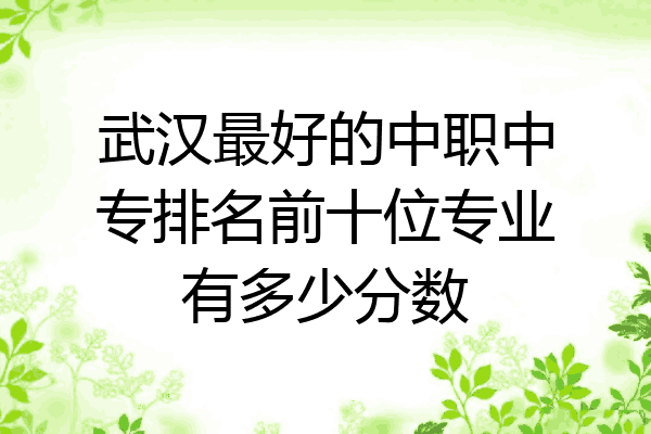 武汉最好的中职中专排名前十位专业有多少分数