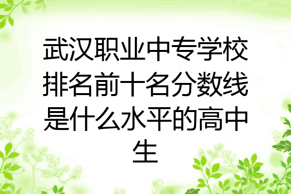 武汉职业中专学校排名前十名分数线是什么水平的高中生