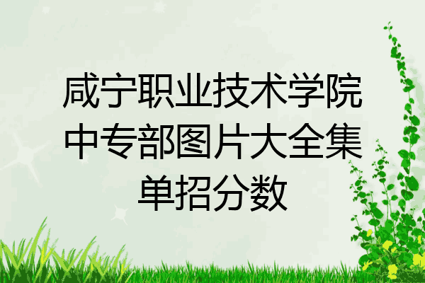 咸宁职业技术学院中专部图片大全集单招分数