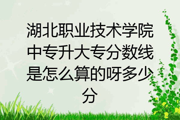 湖北职业技术学院中专升大专分数线是怎么算的呀多少分