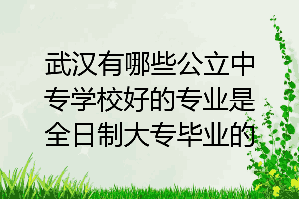 武汉有哪些公立中专学校好的专业是全日制大专毕业的