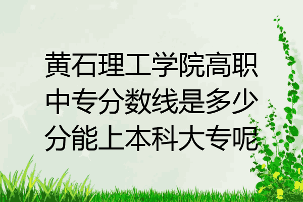 黄石理工学院高职中专分数线是多少分能上本科大专呢