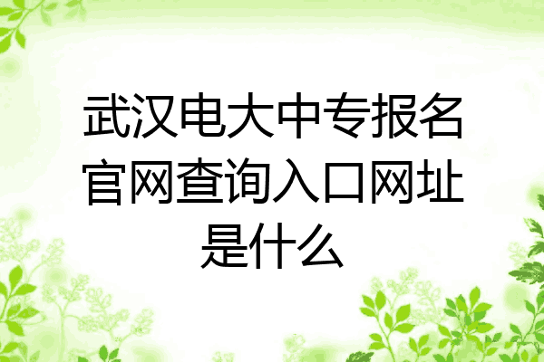 武汉电大中专报名官网查询入口网址是什么