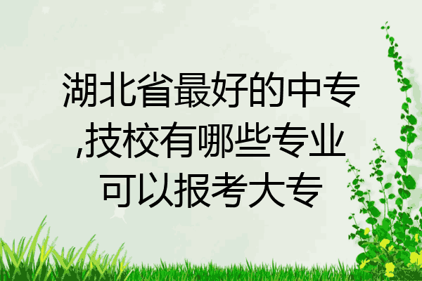 湖北省最好的中专,技校有哪些专业可以报考大专