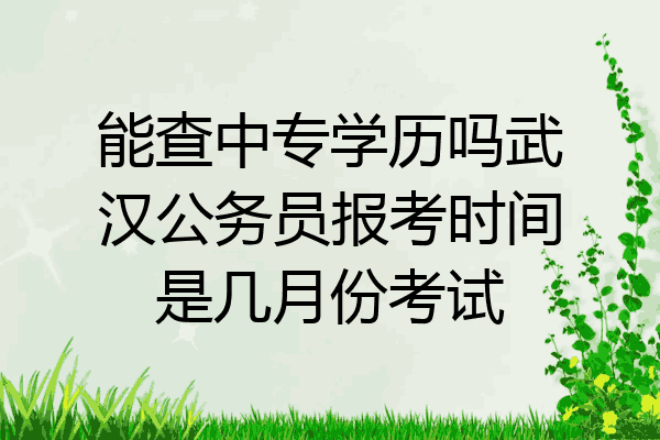 能查中专学历吗武汉公务员报考时间是几月份考试