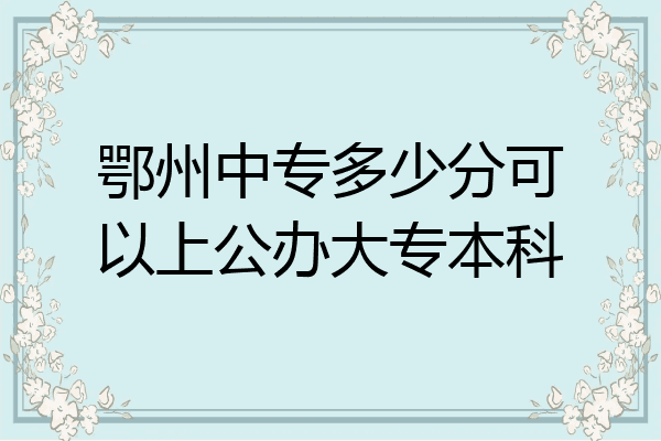 鄂州中专多少分可以上公办大专本科