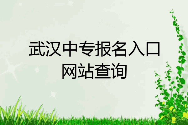 武汉中专报名入口网站查询