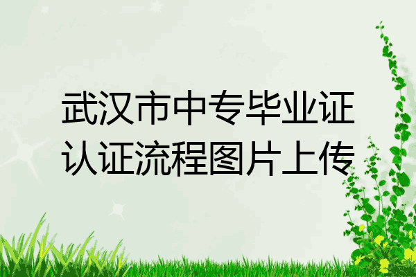 武汉市中专毕业证认证流程图片上传