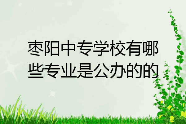 枣阳中专学校有哪些专业是公办的的