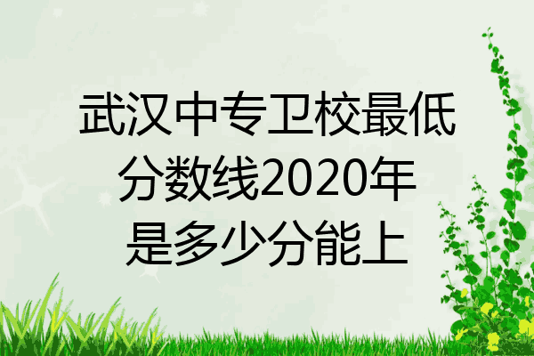 武汉中专卫校最低分数线2020年是多少分能上