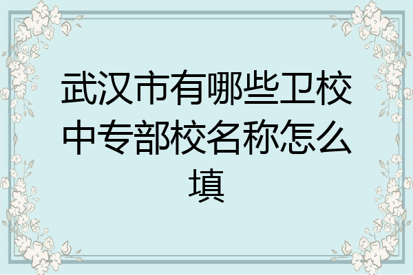 武汉市有哪些卫校中专部校名称怎么填