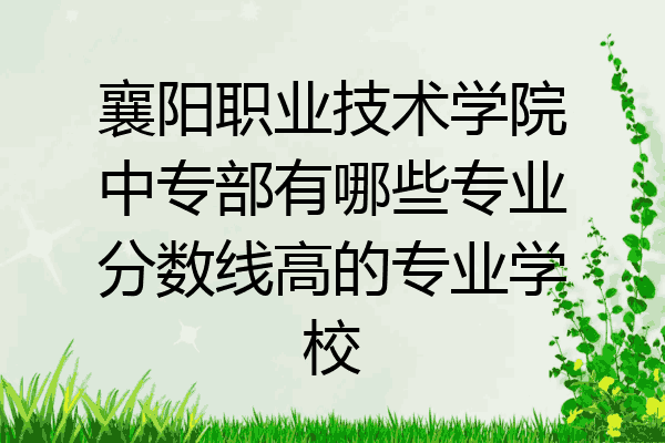 襄阳职业技术学院中专部有哪些专业分数线高的专业学校