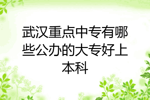 武汉重点中专有哪些公办的大专好上本科