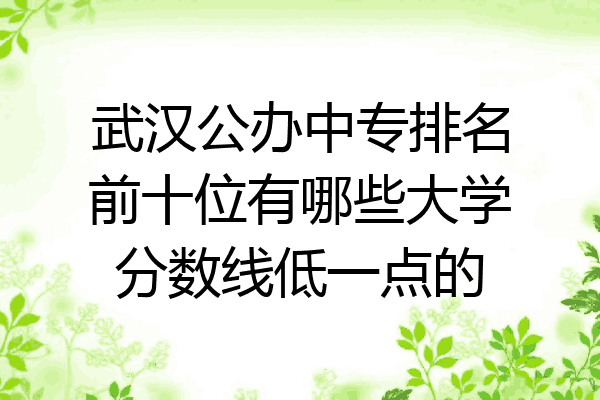 武汉公办中专排名前十位有哪些大学分数线低一点的
