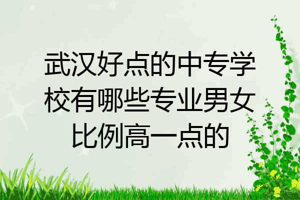 武汉好点的中专学校有哪些专业男女比例高一点的
