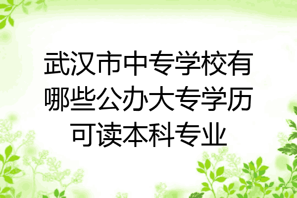 武汉市中专学校有哪些公办大专学历可读本科专业