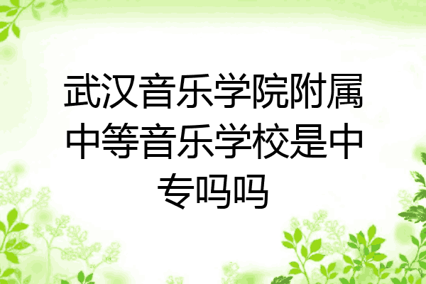 武汉音乐学院附属中等音乐学校是中专吗吗