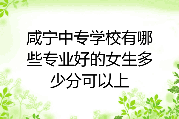咸宁中专学校有哪些专业好的女生多少分可以上