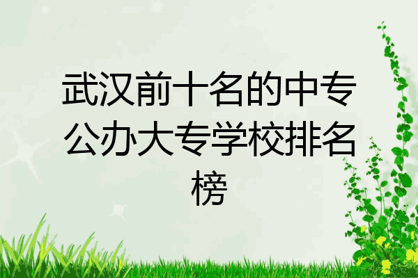 武汉前十名的中专公办大专学校排名榜