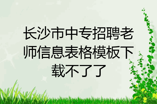 长沙市中专招聘老师信息表格模板下载不了了