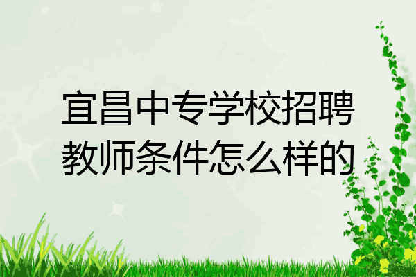 宜昌中专学校招聘教师条件怎么样的
