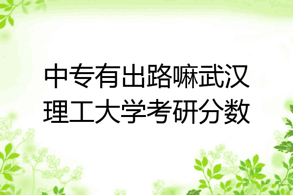 中专有出路嘛武汉理工大学考研分数