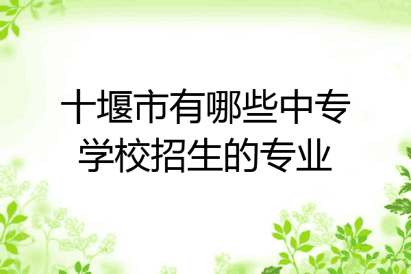 十堰市有哪些中专学校招生的专业