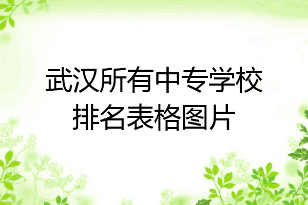 武汉所有中专学校排名表格图片