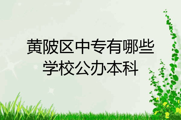 黄陂区中专有哪些学校公办本科