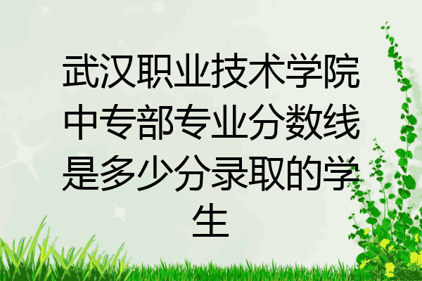 武汉职业技术学院中专部专业分数线是多少分录取的学生