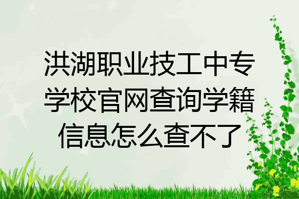洪湖职业技工中专学校官网查询学籍信息怎么查不了