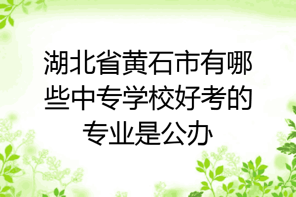 湖北省黄石市有哪些中专学校好考的专业是公办
