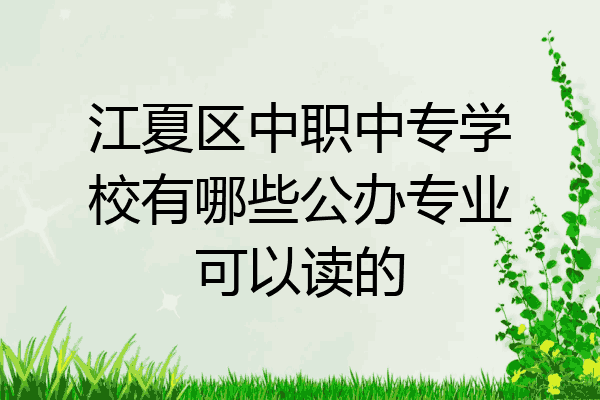 江夏区中职中专学校有哪些公办专业可以读的