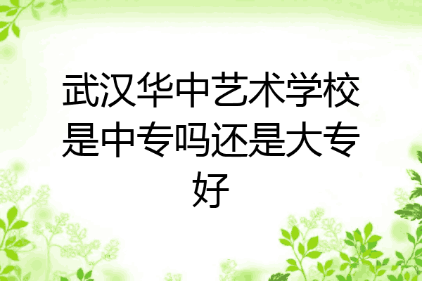 武汉华中艺术学校是中专吗还是大专好