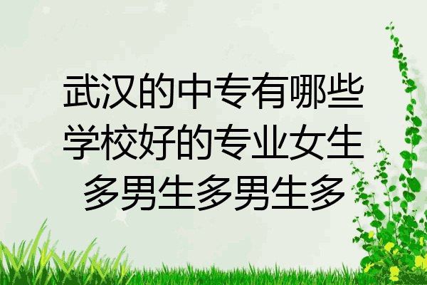 武汉的中专有哪些学校好的专业女生多男生多男生多